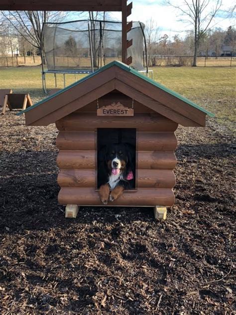 metal siding dog house|best dog house roofing material.